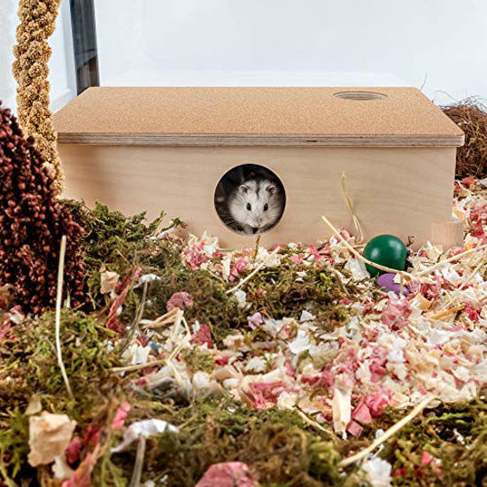 GetUSCart- Niteangel Multi-Chamber Hamster House Maze: - Multi-Room ... - Hamster Hideouts For Escape Artists