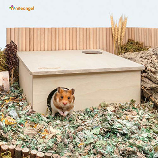 Curated visual reference: Gallery Detail: Getuscart Niteangel Birch Chamber Maze Hamster Hideout
