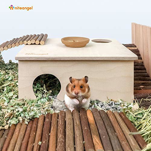 Photo inspiration: Getuscart Niteangel Birch Chamber Maze Hamster Hideout Photo Inspiration