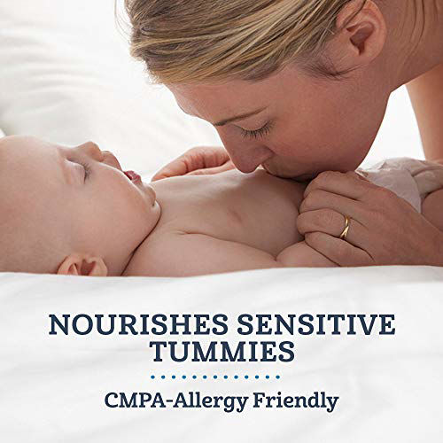 GetUSCart- Gerber Extensive HA Hypoallergenic Powder Infant Formula ...