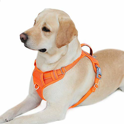 Picture of BARKBAY No Pull Dog Harness Front Clip Heavy Duty Reflective Easy Control Handle for Large Dog Walking with ID tag Pocket(Orange,L)