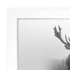 Picture of Americanflat 16x16 Poster Frame in White with Polished Plexiglass - Horizontal and Vertical Formats with Included Hanging Hardware