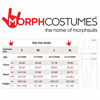 Picture of Morph Costumes Cheerleader Costume For Girls Cute Pink Cheer Halloween Costumes For Girls M
