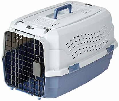 Picture of Amazon Basics Two-Door Top-Load Hard-Sided Pet Travel Carrier, 23-Inch