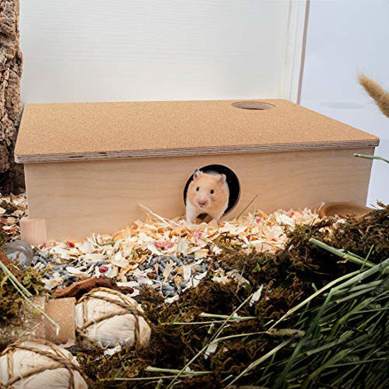 View of GetUSCart- Niteangel Multi-Chamber Hamster House Maze: - Multi-Room ...