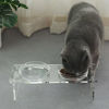 Picture of Dog and Cat Bowls Elevated Set - Acrylic Feeder Stand with 2 Set Removable Stainless Steel and Glass Bowls Food and Water Raised Dishes for Small Pet,3.75 inches