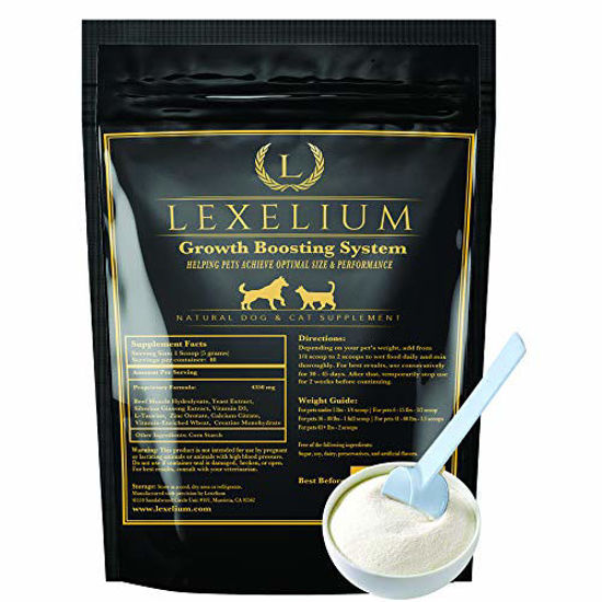 Picture of Lexelium Weight Gainer and Appetite Stimulant for Cats and Dogs | 100% Natural Pet Supplement | Helps Add Weight, Stimulate Appetite, and Build Muscle | Helps Pets with Protein | No Toxic Ingredients