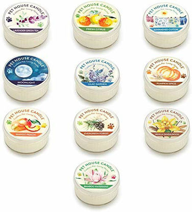 Picture of Pet House Mini Candle Set by One Fur All, Pack of 10 - Top-Selling Fragrances - Pet Odor Eliminator Candle, Burn Time - 10-12 Hours Pet Candle, Non-Toxic, Ideal for Smaller Spaces