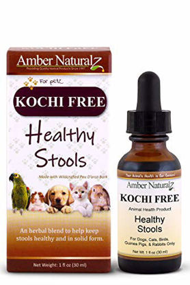 Picture of AMBER NATURALZ - Kochi Free - Healthy Stools - for Petz - 1 Ounce