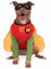 Picture of DC Comics Robin Big Dog Boutique, XXX-Large