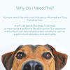 Picture of My Dog Nose It Moisturizing Sun Protection Balm for Dogs Noses - Protect Your Dog from Harmful UVA/UVB Rays (2.75oz)