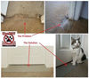 Picture of KittySmart Carpet Scratch Stopper Stop Cats from Scratching Carpet at Doorway (CSS 32 fits Doors 31 1/2" - 31 15/16" in Width.)