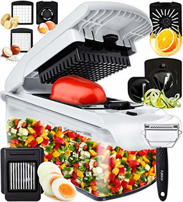 Picture of Fullstar 9-in-1 Deluxe Vegetable Chopper Kitchen Gifts | Onion Chopper & Dicer | Peeler, Spiralizer, Zoodle Maker, Lemon Squeezer, Egg Slicer & Seperator- Ultimate Kitchen Gadget