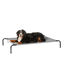 Picture of Amazon Basics Cooling Elevated Pet Bed, Extra Large (60.1 x 37.1 x 8.9 Inches), Grey, 1 count