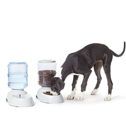 Picture of Amazon Basics Gravity Pet Food Feeder and Water Dispenser Bundle, Large (2.5-Gallon Capacity)