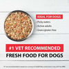 Picture of JustFoodForDogs PantryFresh Dog Food, Human Quality Ingredients Ready to Serve Food for Dogs - Beef & Russet Potato (Set of 6)