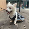 Picture of derYEP Pet Scooter Wheelchair for Rear Legs paralyzed Dog Protects Chest and Limbs (S-Drag Bag)