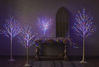 Picture of Hairui Lighted Birch Garland Battery Operated with 8 Function 48 Multi Color and Warm White Lights 6FT, Pre Lit Garland for Thanksgiving Christmas Holiday Decoration Indoor Outdoor