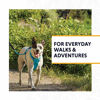 RUFFWEAR Trail Running Hiking Hi & Light All-Day Wear Everyday Lightweight Dog Harness Walking 