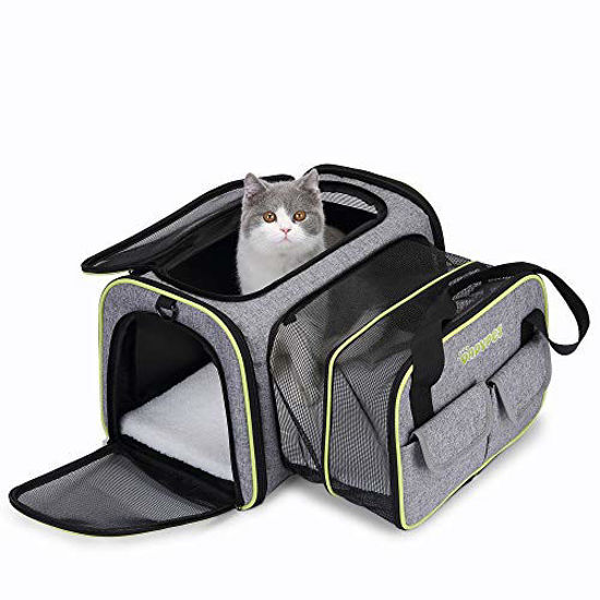 Buy BEIKOTT Cat Backpack Carriers, Dog Carrier Backpack, Pet Cat Carrier Bag,  Airline Approved Travel Pet Backpacks for Small Cats /Puppies/Teacup  Dog/Teddy/Bunny Online at desertcartINDIA