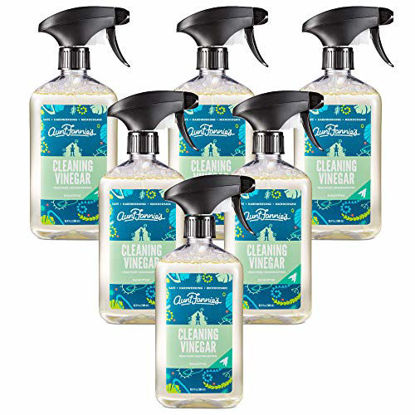 Picture of Aunt Fannie's All Purpose Cleaning Vinegar 16.9 Ounces, Multipurpose Surface Spray Cleaner (Eucalyptus, Pack of 6)