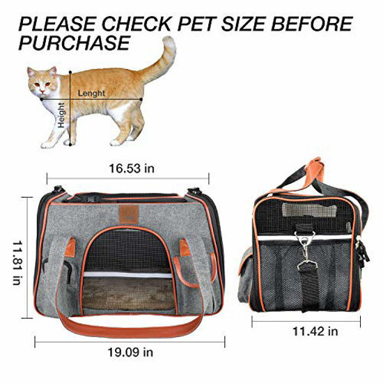 The Best Travel Bag For Small Dogs Maxbones Global Citizen Carrier