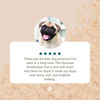 Picture of Lillian Ruff Dog Oatmeal Conditioner - Lavender Coconut Scent for Itchy Dry Skin with Aloe - Soothe Skin Irritation and Relieve itching (1 Gallon with Pump)