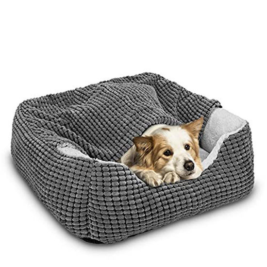 Luxury dog beds for small best sale dogs