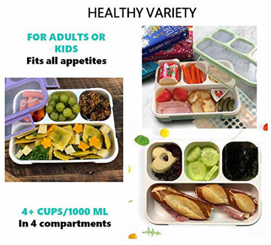 Picture of Bento Box Lunch Boxes for Adults Kids, Portion Control Set for Lunches, Snack Container Lunchbox with Dividers, Boys Girls Women Men School Travel Snack Containers Leak-proof Kit, Grey Green Purple