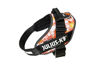 Picture of Julius-K9, 16IDC-PNF-2, IDC Powerharness, dog harness, Size: 2, Pink with flowers