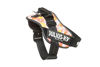 Picture of Julius-K9, 16IDC-PNF-2, IDC Powerharness, dog harness, Size: 2, Pink with flowers