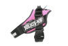 Picture of Julius-K9, 16IDC-PN-2, IDC Powerharness, dog harness, Size: 2, Pink