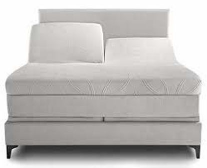Picture of TOP Split King Royal Collection 1900 Egyptian Cotton Bamboo Quality Bed Sheet Set with 1 Fitted Sheet with 36" Split TOP, 1 King Flat and 2 King P/Cases.No Wrinkle (Sage Green, TOP Split King)