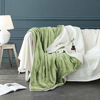 Picture of LBRO2M Sherpa Fleece Bed Blanket Twin Size Super Soft Fuzzy Plush Warm Cozy Fluffy Microfiber Couch Throw Velvet Double Reversible Luxurious Blankets,Sage Green