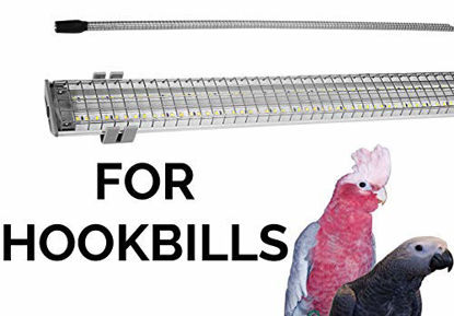 Picture of M&M Cage Company - Bird Cage Light with Chew Guard for Hook Bills - Full Spectrum LED Pet Light - Simulates Natural Environment - Safe for Destructive Chewers, Parrots etc. - No Bulbs to Change - 18"