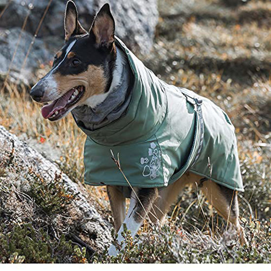 Hurtta dog deals jacket