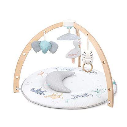 Picture of aden + anais Play and Discover Baby Activity Gym - 30+ Developmental Benefits - 3 Attachable Toys + Plush Tummy Time Pillow - 100% Cotton Muslin - Machine Washable
