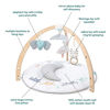 Picture of aden + anais Play and Discover Baby Activity Gym - 30+ Developmental Benefits - 3 Attachable Toys + Plush Tummy Time Pillow - 100% Cotton Muslin - Machine Washable