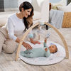 Picture of aden + anais Play and Discover Baby Activity Gym - 30+ Developmental Benefits - 3 Attachable Toys + Plush Tummy Time Pillow - 100% Cotton Muslin - Machine Washable