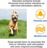 Picture of Mini Educator E-Collar ET-300 / ET-302 Dog Training Collar System with Remote - 1/2 Mile Range - Waterproof, Vibration, Sensation - Includes eOutletDeals Pet Towel (1 Dog System - ET-300 RED)