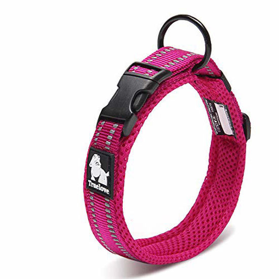 Great choice discount dog collar
