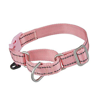 Picture of YUDOTE Martingale Collar for Dogs, with Quick Snap Buckle, Reflective Training Collars, Safety No Pull Collar