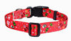 Picture of Mihqy Christmas Dog Collar - Premium Adjustable Xmas Dog Collar for Small Medium Large Dogs (Christmas,M)