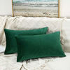 Picture of JUSPURBET Dark Green Decorative Lumbar Velvet Throw Pillow Covers 12x20,Pack of 2 Luxury Soft Solid Cushion Cases for Sofa Couch Bed