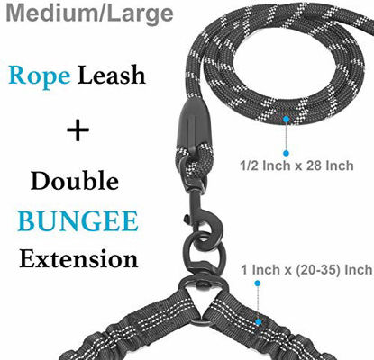 Picture of iYoPets Double Dog Leash with Two Extra Traffic Handles, 360 Swivel No Tangle Dual Dog Walking Leash, Comfortable Shock Absorbing Reflective Bungee for Two Dogs (18~120 lbs, Black)