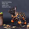 Picture of KYEESE Dog Pajamas Halloween for Small Dogs Pumpkin Dog Pjs Onesie Stretchable Soft Material Pet Pajamas