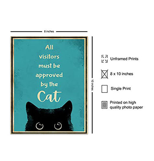 GetUSCart Cat Sign Funny Cat Wall Decor Cute Cat Poster