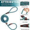 Picture of PetiFine 6 FT Slip Lead Dog Leash, Full Reflective Dog Training Leash, Heavy Duty Adjustable Pet Nylon Slip Rope Lead for Small Medium Large Dogs(Blue)