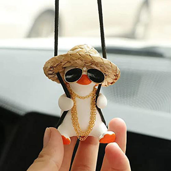 Car shop duck accessories