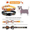 Picture of 2 Pack Halloween Dog Collar with Bowtie, Holiday Jack-O-Lantern and Pumpkin Collar for Small Medium Large Dogs Pets Puppies (Large)